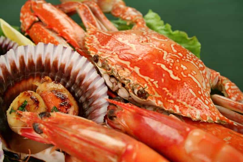 roxas city seafood capital